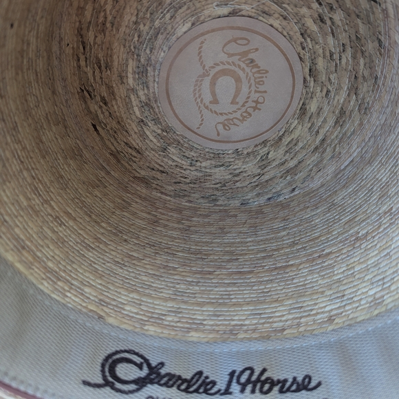 Charlie 1 Horse Outlaw Spirit Top Hat - Picture 7 of 7